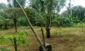 85 Perches Land for sale in Ruggahawila, Nittambuwa.