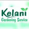 Professional Landscape Designer