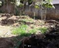 Katugastota 7 Perch land for sale