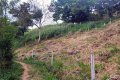 HANTHANA PROPERTY - Richmond Hill Estate, Kandy.