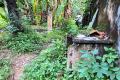 Land for Sale in Wattala (Off Station Road)