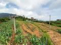 Land for Sale in Hakgala, Nuwara Eliya.
