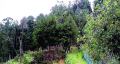 Land for Sale or Exchange in Nuwara Eliya.