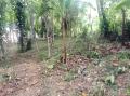30 Perches Land for Sale in Ragama, Kandaliyadda Paluwa Road.