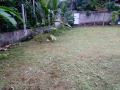 කඩවත නගරයේ වටිනා ඉඩමක් විකිණීමට ඇත.