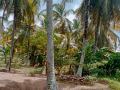Land for Sale in Kahathuduwa, Polgasowita.