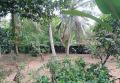 28 Perches Bare Land for immediate Sale in Kottawa, Makumbura.