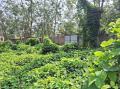 140 Perches Land For Sale at Bolgoda, Panadura.