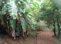 10 Perches Land For Sale At Parackrama mawatha, Hokandara.