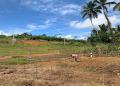 360 Perches Land for Sale in Yatadolawatta, Mathugama.