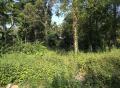 103 Perches Land available for Sale in Wataddara, Veyangoda.