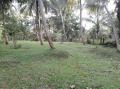 A Valuable Land adjoining Ma-Oya with a beautiful Bungalow for sale at Polgahawela.