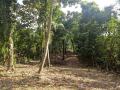 And Blocks for Sale in Galahitiyawa, Ganemulla.