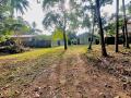 300 Perches Land with House for Sale in Dibbedda, Panadura.