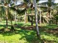 Valuable Land Property for Sale in Welipillewa, Homagama.