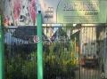 SUPIPI PLANT NURSERY & GARDEN SHOP
