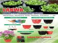 LAKWA AGRICULTURE COMPANY (PVT) LTD