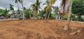 Nittambuwa land (25.5purch) for sale