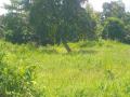 40 Perch Commercial cum Residential Land for Sale in Kandana – Peralanda