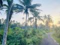 Valuable Commercial cum Residential Lands for Sale – Bentota