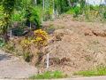 Valuable Commercial Land for Sale in Pilimathalawa