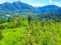 189 Acre Estate & 70 Perches Commercial Land for Immediate Sale.