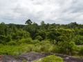LAND FOR SALE – WARANA, KALAGEDIHENA (GAMPAHA DISTRICT)
