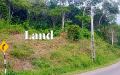 Scenic Road Facing Land for Sale, Halpe, Belihuloya