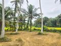 298 Perches Land for Sale – Veyangoda.