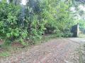Land for Sale in Swarnahansa Pedesa, Gampaha