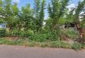 Highly Residential Land for Sale in Pelawatta, Battaramulla